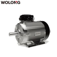 WOLONG 卧龙 GE电机 通用电气 节能高效电机