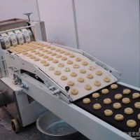 公司生产多功能桃酥饼干机 带盐糖撒布装置 桃酥饼干生产线 饼干机械