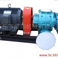 供应恒阳HYSR50-300专业生产环保设备/罗茨真空泵
