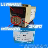 瓯龙ＸＭＴＧ3001系列温度仪表厂家