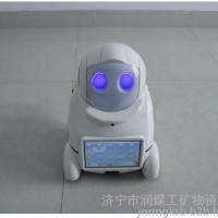 润煤DS45CDS 声控机器人机械设备工业机器人其他机器人**