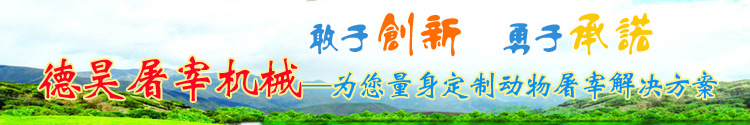 敢于创新